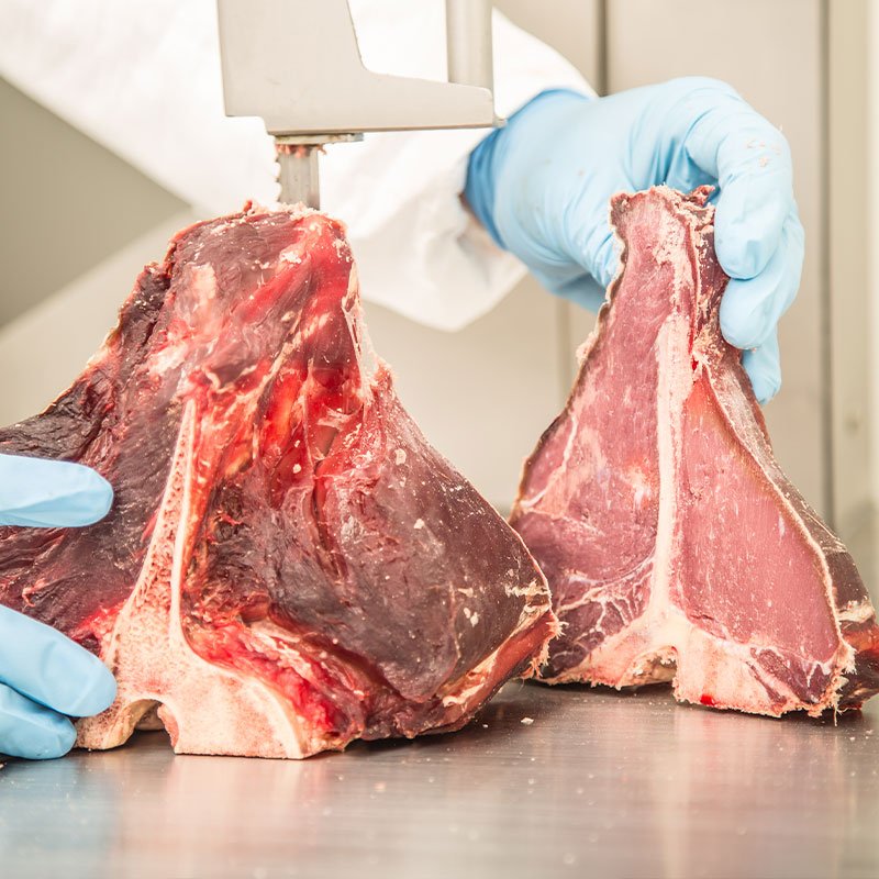 table top bandsaw mobile